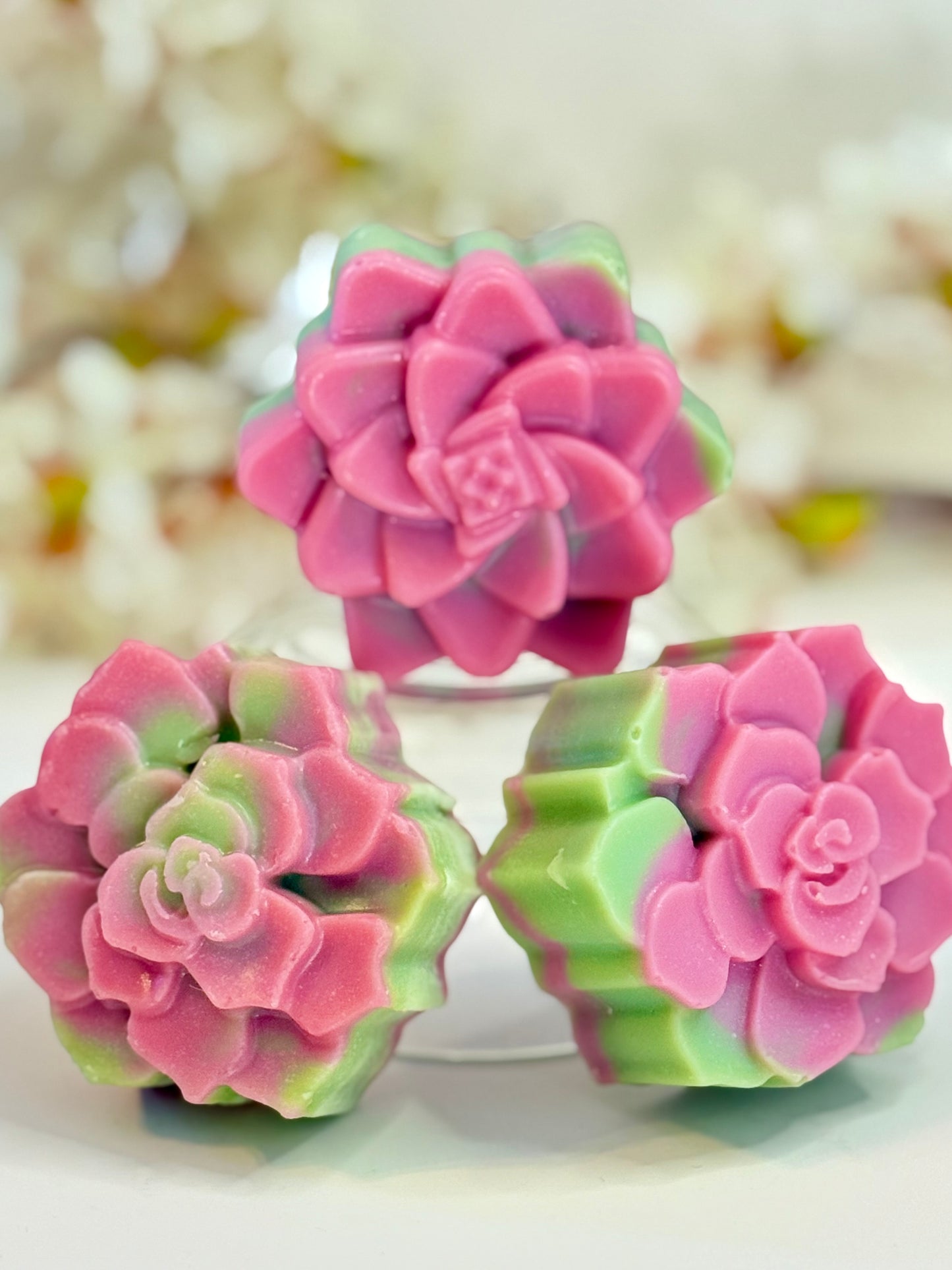 Citrus Succulent 🌿 | Botanical Clay Soap Bar
