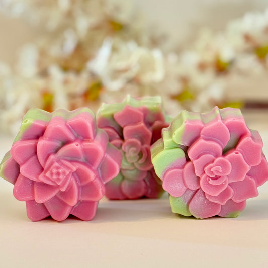 Citrus Succulent 🌿 | Botanical Clay Soap Bar