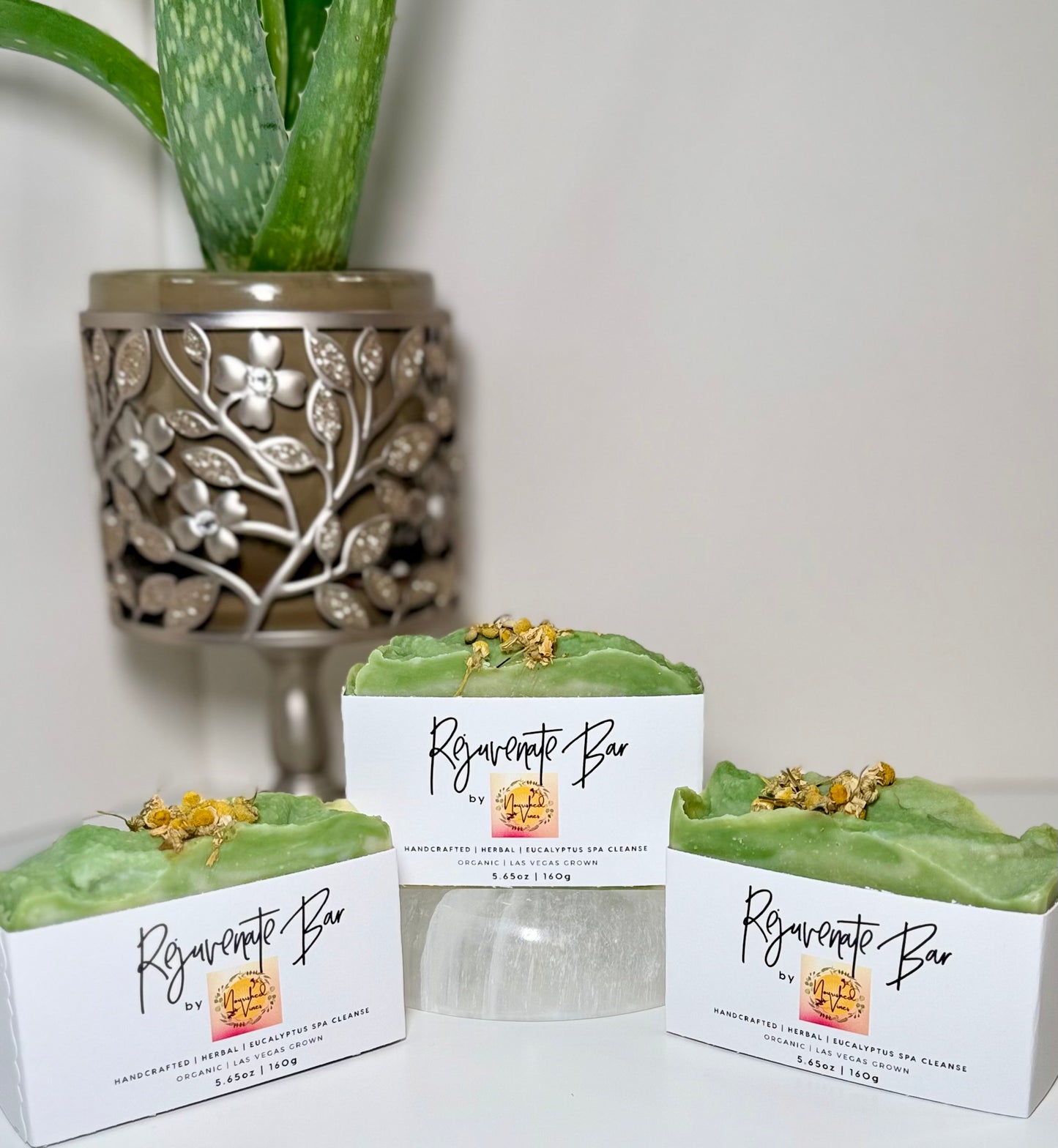Rejuvenate Bar — Eucalyptus Cream Artisan Soap