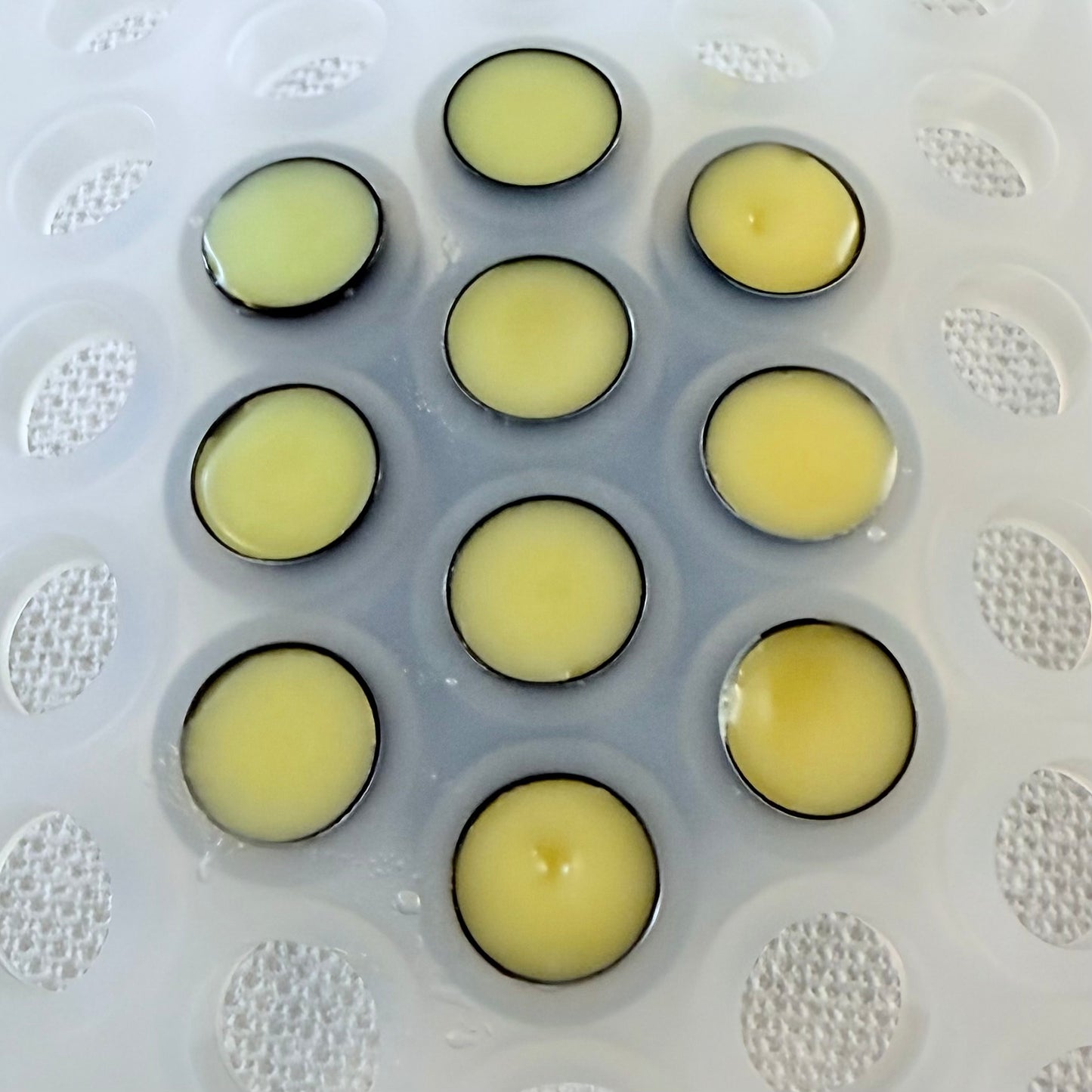 Lip Nectar – Natural Calendula & Tallow Lip Balm